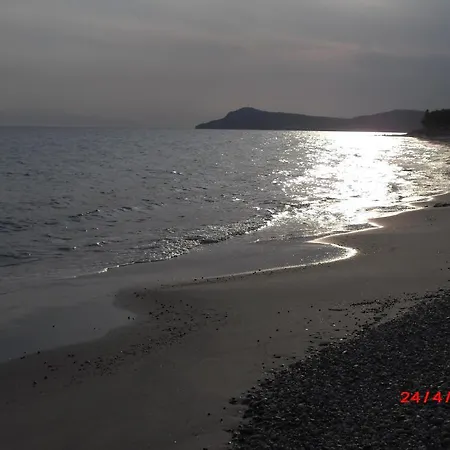 شقة فندقية Kangaroo مولا كاليفا